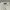 Lois Y2K Skater Formal shirt Pria white photo 3