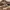 Puma Casual Sneakers Pria multicolor brown photo 2
