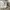 Dickies Casual Formal pants Pria khaki photo 8