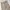 Dickies Casual Formal pants Pria khaki photo 4