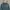 Giordano Minimalist Hoody Pria green photo 2
