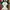 Adidas Vintage Sportswear Jersey Pria White Green