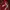 NEPA Gorpcore Sweatshirt Pria red photo 6