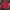 NEPA Gorpcore Sweatshirt Pria red photo 1