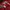 NEPA Gorpcore Sweatshirt Pria red photo 5