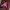 Tommy Hilfiger Gorpcore Grunge Puffer jacket Wanita pink black photo 2