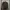 Adidas Sportswear Hoody Pria green photo 1