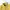 Indie Casual Casual shirt Pria white yellow photo 2