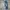 Streetwear Casual Jeans Pria white blue photo 1
