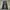 Indie Casual Jeans Pria black photo 5