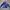 Nike Gorpcore Sportswear Track jacket Pria blue photo 1