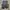 Biker Leather jacket Pria black photo 4