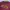 Feltics Casual Sweatshirt Pria burgundy photo 3