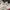 Marc Jacobs Minimalist Crossbody Bag Wanita cream photo 3