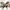 Luxury Minimalist Hat Kids tan cream photo 1