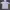 Dickies Minimalist T-shirt Pria multicolor photo 1