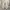 Adidas Sportswear Casual Sneakers Pria silver photo 4