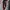 Gosh Goth Casual Wanita white black photo 3