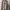 Adidas Casual Hoody Pria gray photo 1