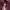 Streetwear Luxury Hoody Pria burgundy photo 4