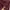 Streetwear Luxury Hoody Pria burgundy photo 6