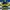 Vintage Sportswear Jersey Pria navy yellow photo 1