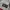MLB Luxury Casual Sweatshirt Pria white photo 6