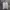 MLB Luxury Casual Sweatshirt Pria White