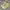Converse Streetwear Casual Sneakers Wanita yellow photo 1