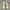 Converse Streetwear Casual Sneakers Wanita yellow photo 2