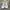 Converse Streetwear Casual Sneakers Pria white photo 2