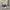Converse Vintage Casual Sneakers Pria navy photo 1