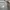 Casual Hoody Pria gray photo 2