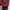 Hugo Boss Minimalist Casual Stroller Kids burgundy photo 4