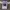 Reebok Y2K Jersey Pria white photo 2