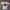 Reebok Y2K Jersey Pria white photo 1