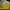 Vintage Track jacket Pria yellow photo 3