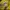 Vintage Track jacket Pria yellow photo 2