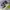 Nike Streetwear Sneakers Pria multicolor photo 1