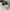 Nike Streetwear Sneakers Pria multicolor photo 4