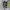 Nike Streetwear Sneakers Pria multicolor photo 3