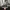 New Balance Streetwear Sportswear Sneakers Pria black photo 1