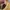 Nike Streetwear Sneakers Pria brown photo 2