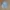 Dickies Casual Casual shirt Pria multicolor photo 8