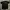 Stussy Casual T-shirt Pria black photo 2