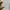 Spalding Casual Track jacket Pria white photo 4