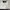 Spalding Casual Track jacket Pria white photo 2