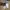Converse Casual Casual shoe Pria cream photo 8