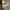 Converse Casual Casual shoe Pria cream photo 4