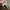 Converse Casual Casual shoe Pria cream photo 5